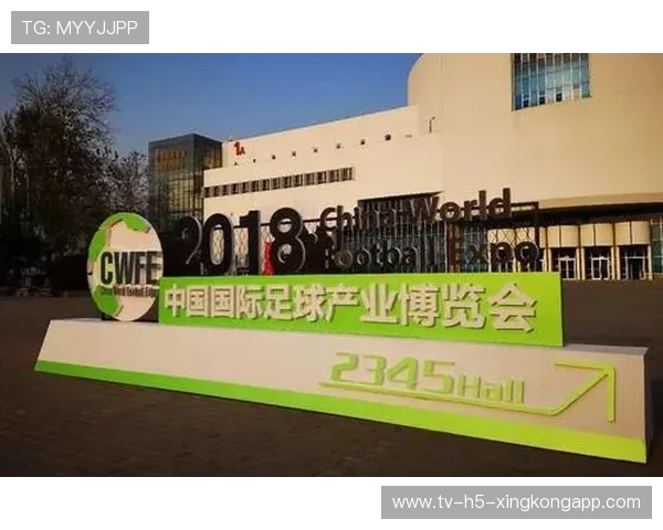 中国足球俱乐部推动足球产业与文化深度融合，中国足球产业与文化发展报告