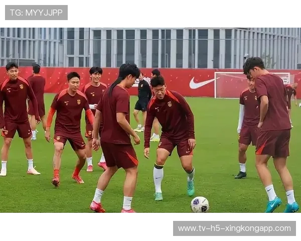 中国足球比赛中视频回放与公平判罚机制完善，中国足球精彩视频