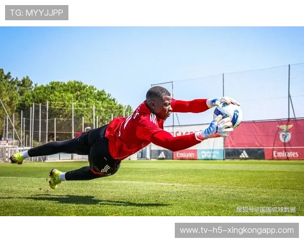 本菲卡后程发力压制博卡防线，本菲卡首发
