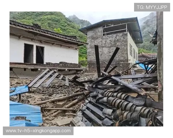 区域联防成功限制核心输出