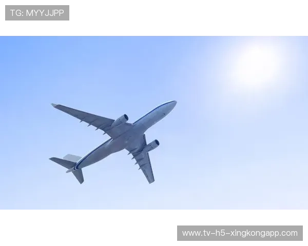 稳定可靠减少失误（390 ）